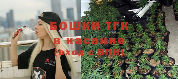 молекула духа Пестово